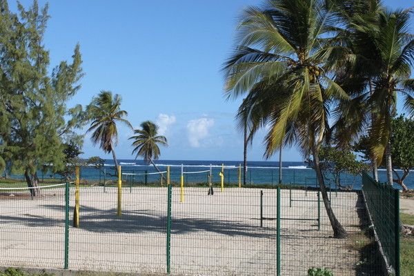 Résidence Tropicale pas cher photo 14