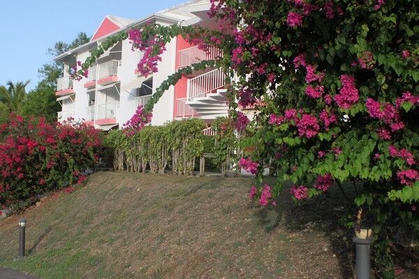 Résidence Tropicale pas cher photo 1