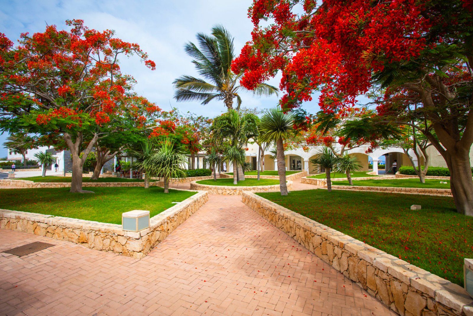 Hôtel Bravo Club Praia de Chaves 5* pas cher photo 13