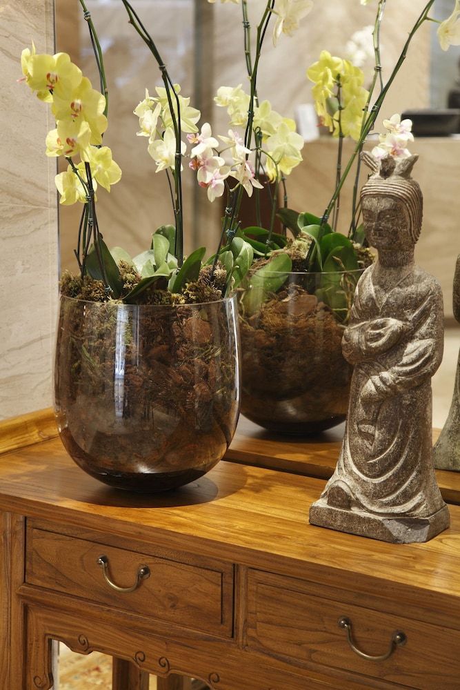 Miramar Hôtel by Windsor 5* pas cher photo 32