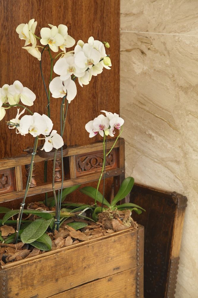 Miramar Hôtel by Windsor 5* pas cher photo 41