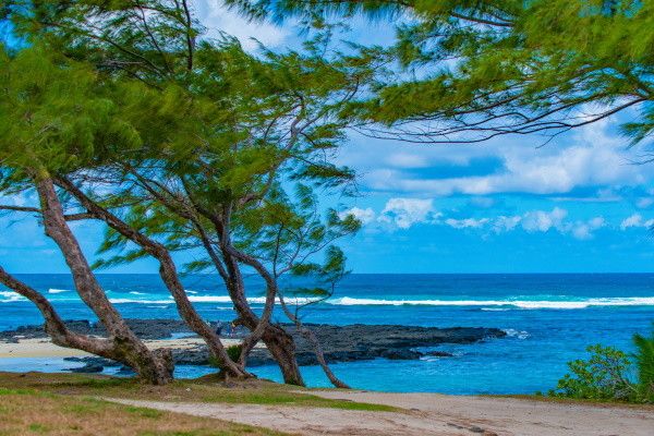 Hôtel Silver Beach 3* pas cher photo 1