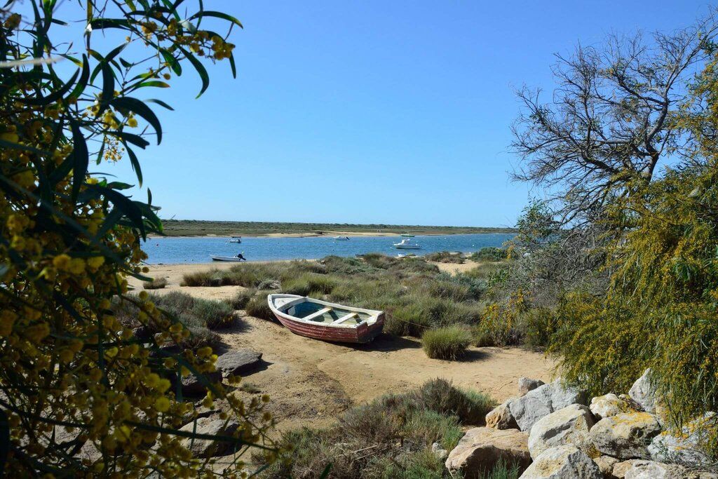 Hôtel Ôclub Select AP Cabanas Beach & Nature Adult Only 4* pas cher