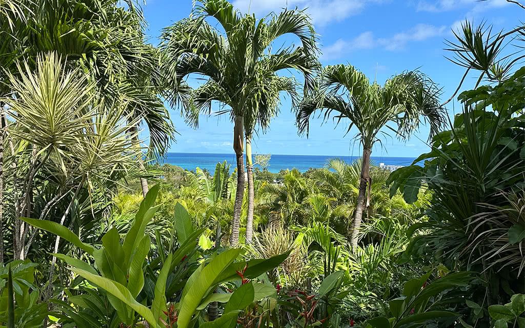 Résidence Vue Mer pas cher photo 10