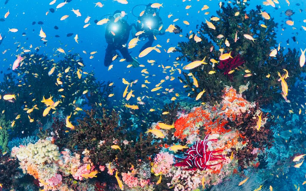 Hôtel Adaaran Select Meedhupparu 4* pas cher photo 5