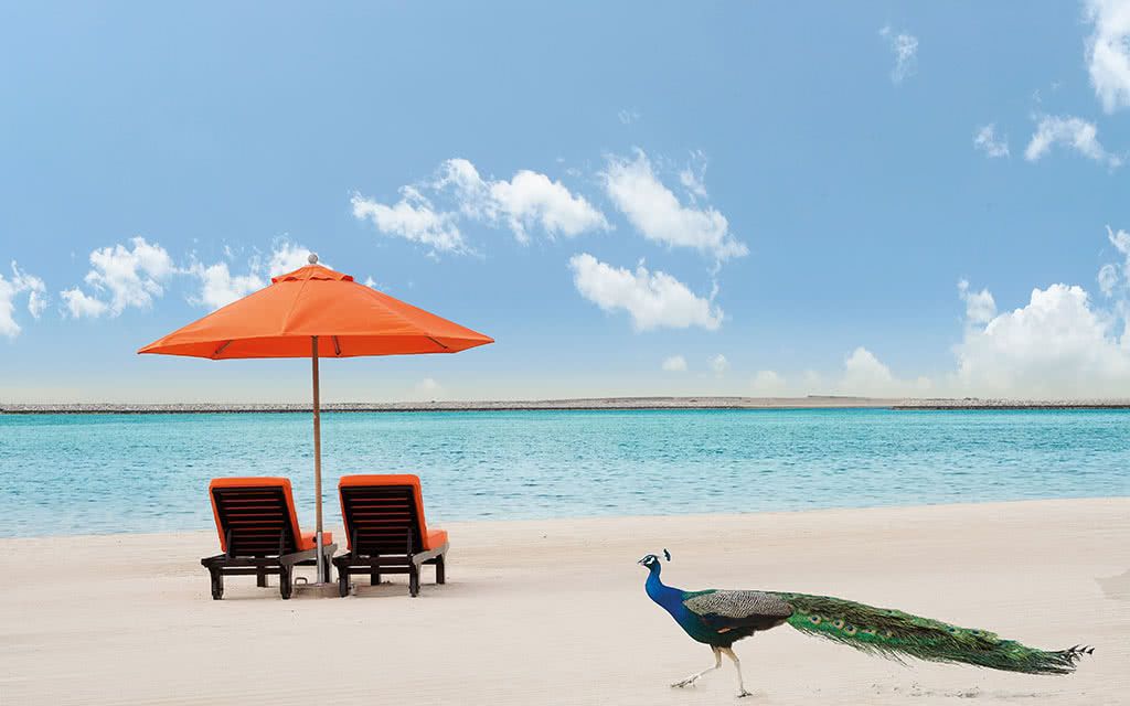 JA Palm Tree Court 5* pas cher photo 4