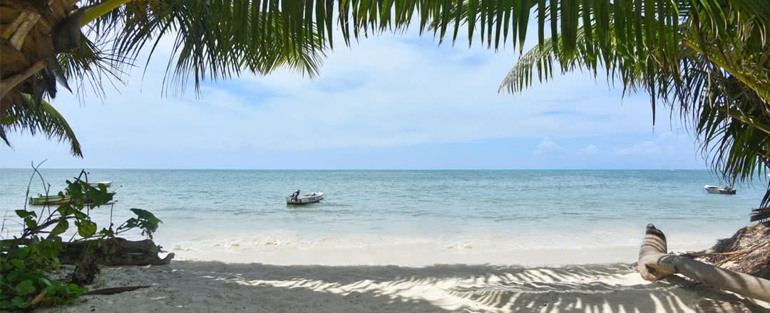 Résidence Praslinoise pas cher photo 13