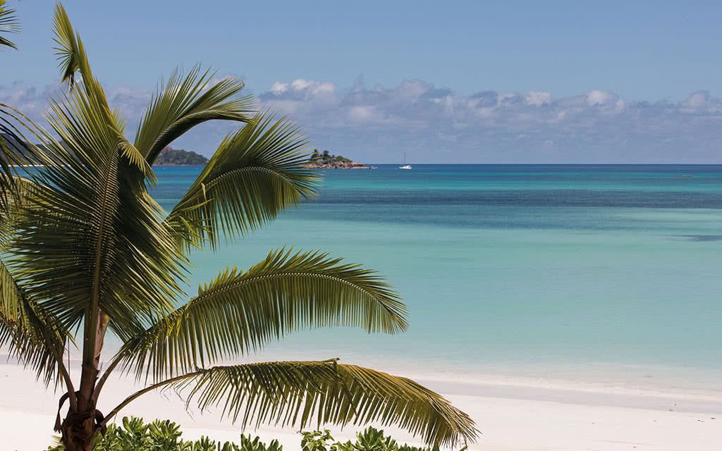 Acajou Beach Resort - Offre spéciale Noces 4* pas cher photo 14