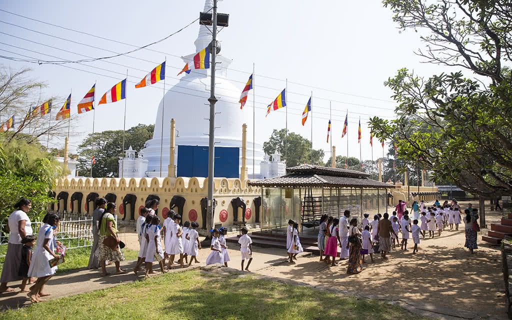 Kandy et la région du thé - Offre spéciale Noces pas cher photo 6