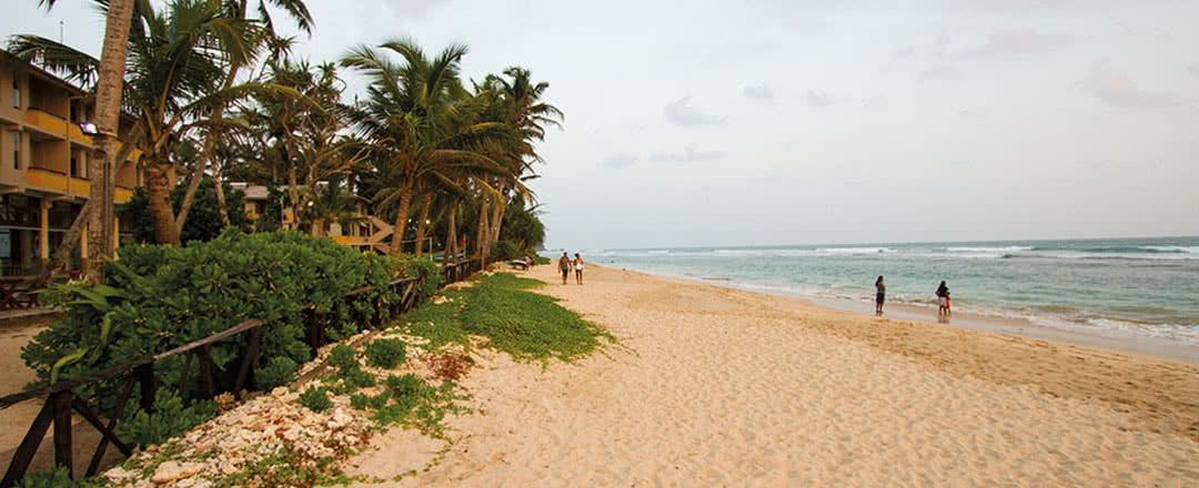 Hôtel Insight Ahangama 3* pas cher