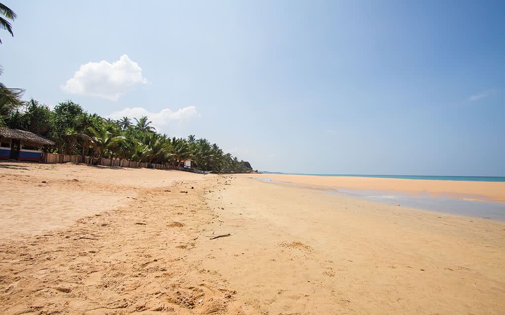 Kandy et la région du thé pas cher photo 12