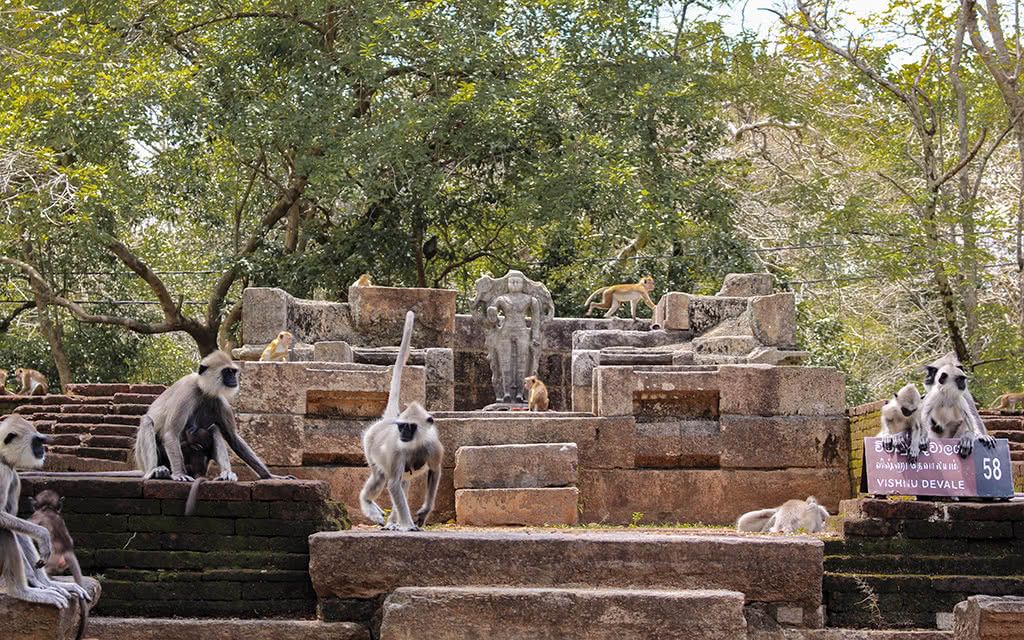 Séjour Soins et Culture pas cher photo 9