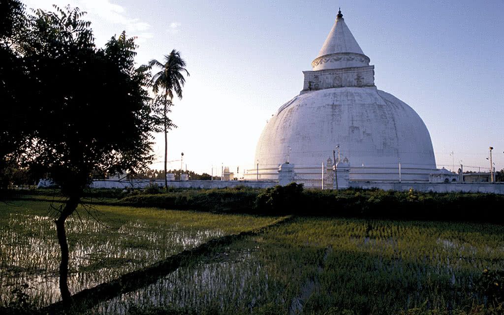 Culture et détente 4 - Offre spéciale Noces pas cher photo 9