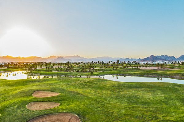 Hôtel Royal Albatros Moderna 5* pas cher photo 26