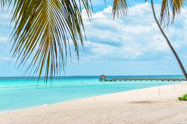 Hôtel Adult Only Catalonia Royal La Romana 5* pas cher photo 4