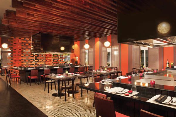 Hôtel Dreams Dominicus La Romana 5* pas cher photo 12