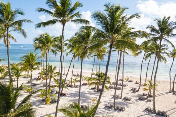 Hôtel Barcelo Bavaro Palace 5* pas cher photo 6