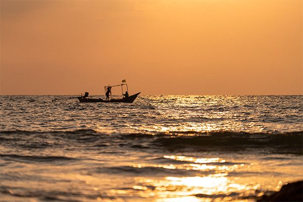 Hôtel Motive Cottage Resort 3* pas cher photo 23