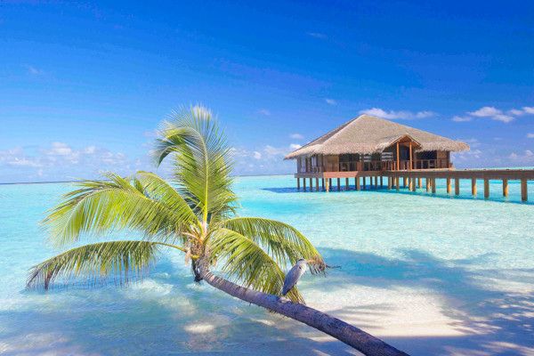 Hôtel Medhufushi Island Resort 4* pas cher photo 19
