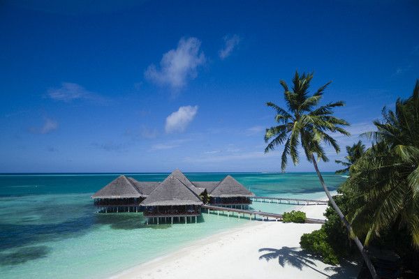 Hôtel Medhufushi Island Resort 4* pas cher photo 26