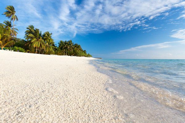 Hôtel Meeru Island 4* pas cher photo 7