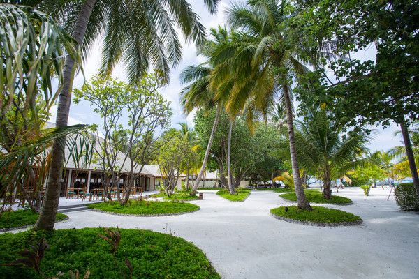 Hôtel Meeru Island 4* pas cher photo 35