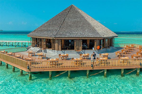 Hôtel Vilamendhoo 4* pas cher photo 15