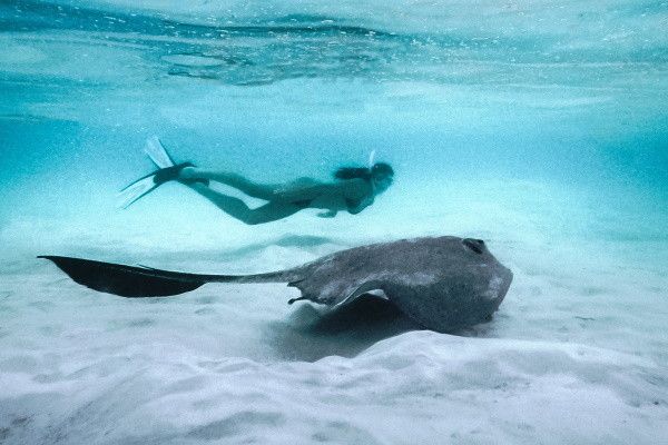 Hôtel Cocoon Maldives 5* pas cher photo 9