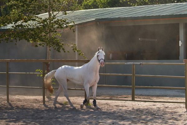 Hôtel Siyam World 5* pas cher photo 17