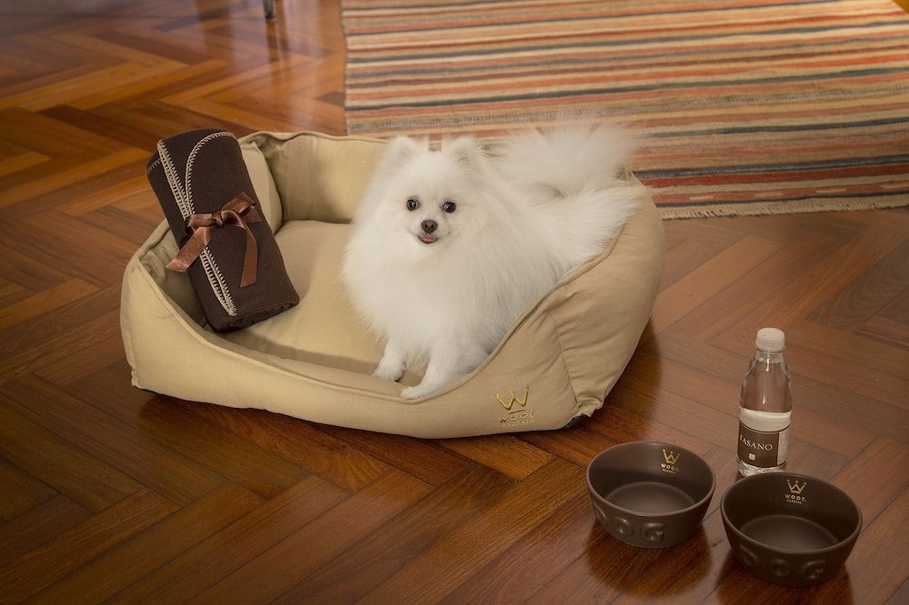 Hôtel Fasano Rio de Janeiro 5* pas cher photo 36