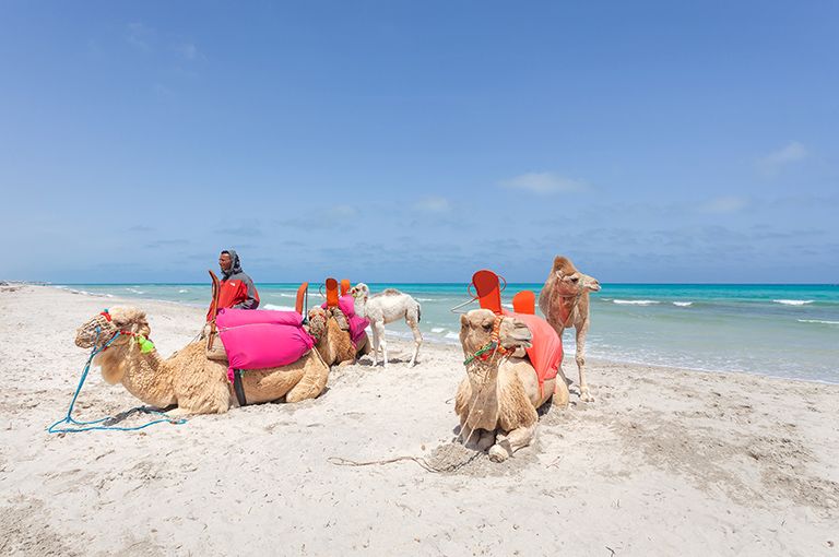 Hôtel César Thalasso et Conventions 4* - cure thalasso incluse pas cher photo 43