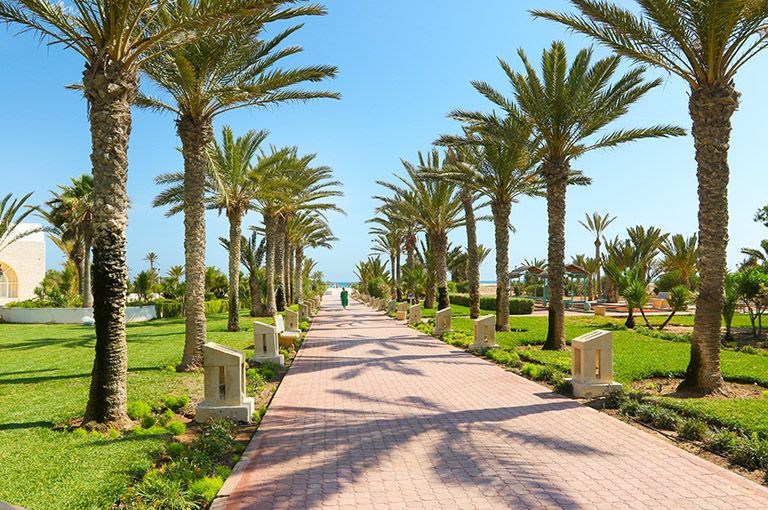 Hôtel Royal Garden Palace 5* - Cure Balnéo Incluse pas cher photo 18