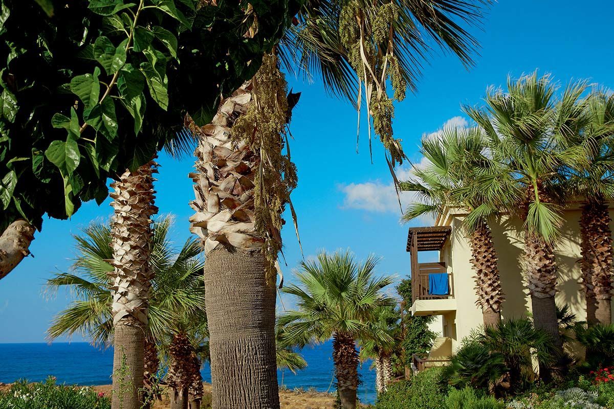 Grecotel Marine Palace & Aqua Park 4* - Arrivée Héraklion pas cher photo 10