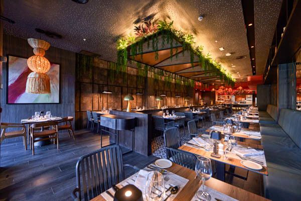 Club Framissima Premium RIU Turquoise 4* pas cher photo 16