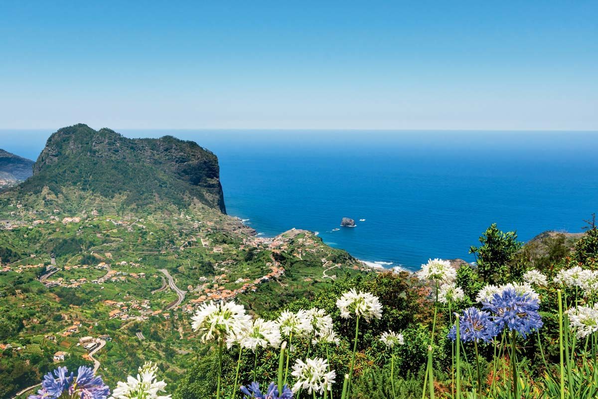 Madeira Panoramico 4* pas cher photo 17