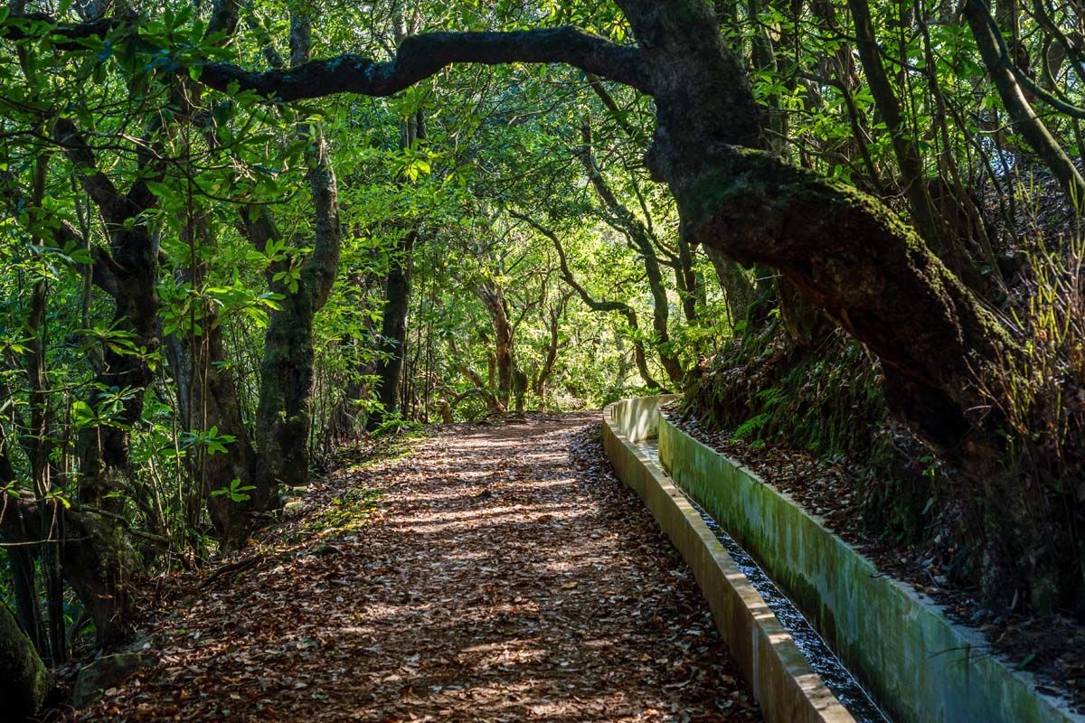 Madeira Panoramico 4* pas cher photo 18