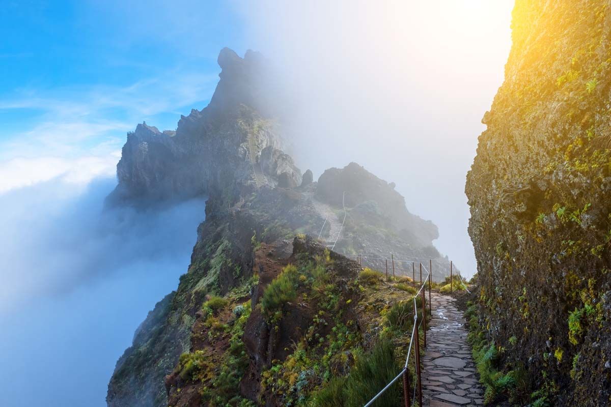Madeira Panoramico 4* pas cher photo 19