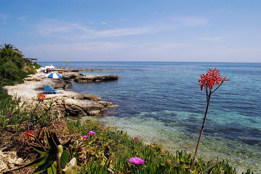 Hôtel Hersonissos Maris 4* pas cher photo 2