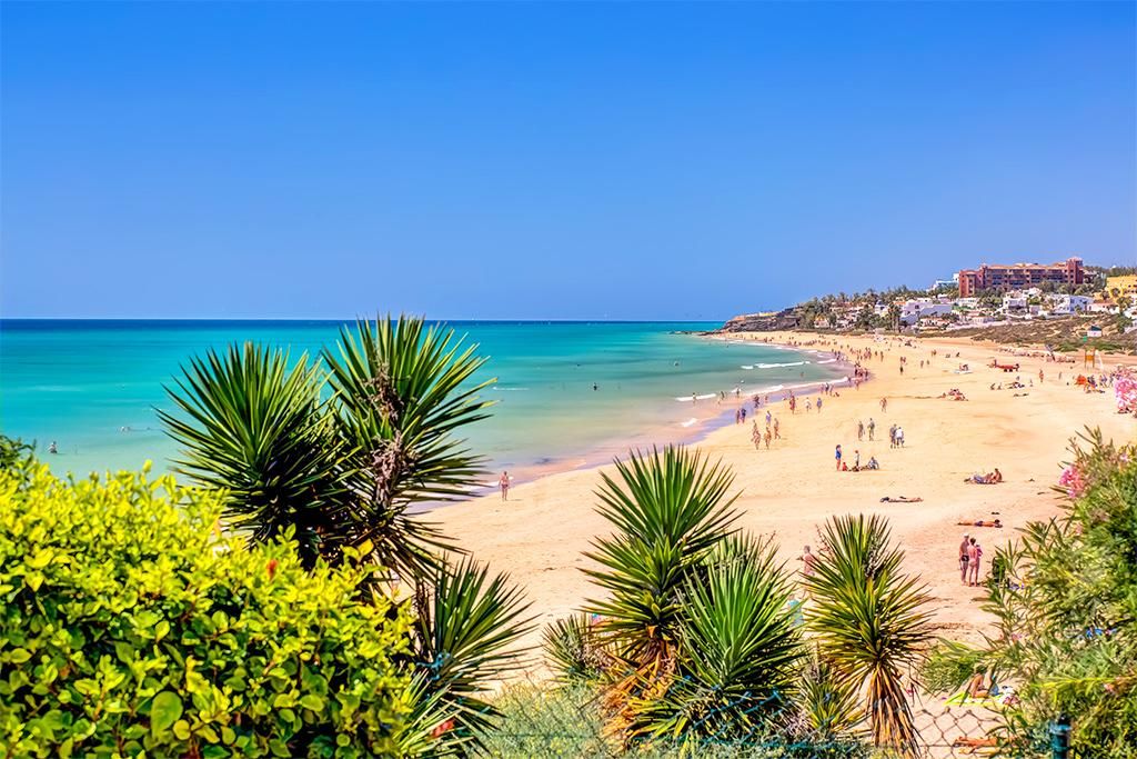 Hôtel SBH Taro Beach 4* pas cher photo 16