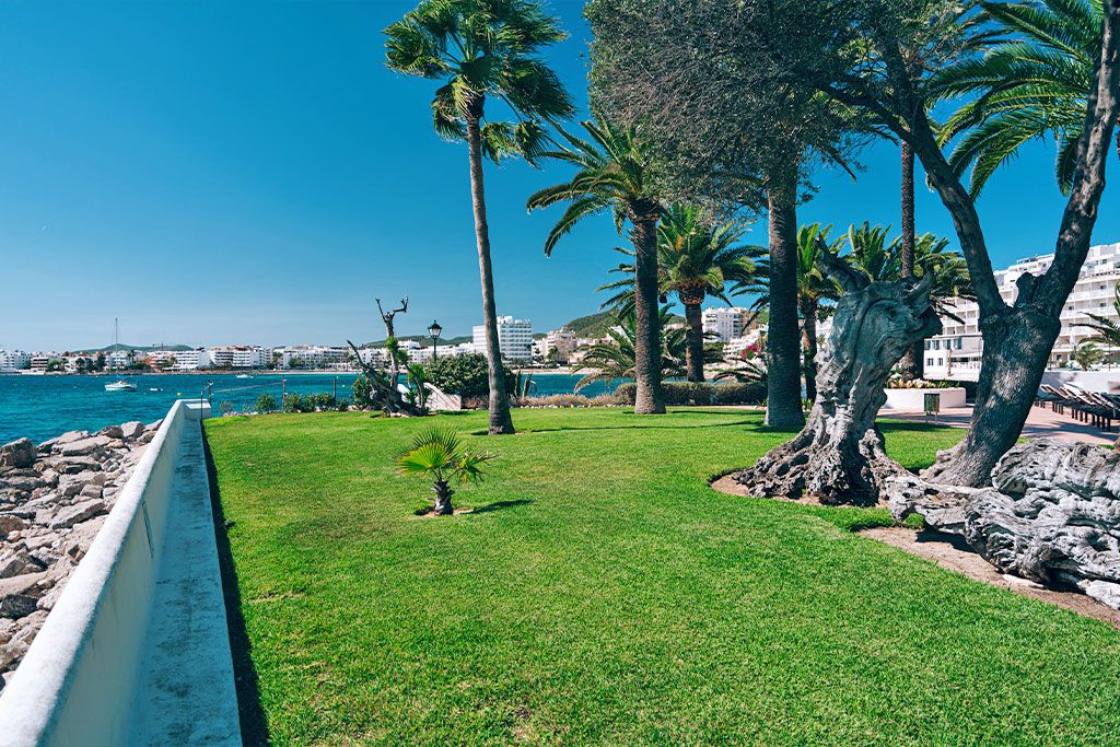 Hôtel THB Los Molinos 4* pas cher photo 15