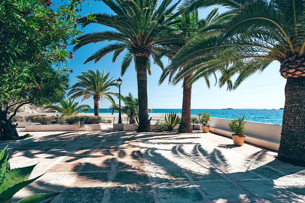 Hôtel THB Los Molinos 4* pas cher