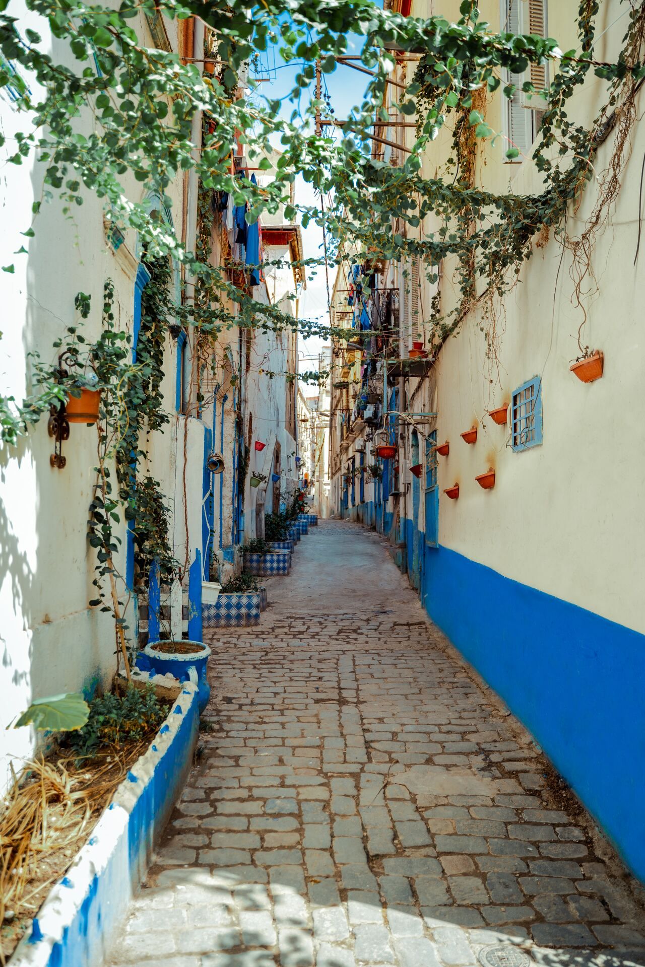 Richesses d'Algérie pas cher photo 2
