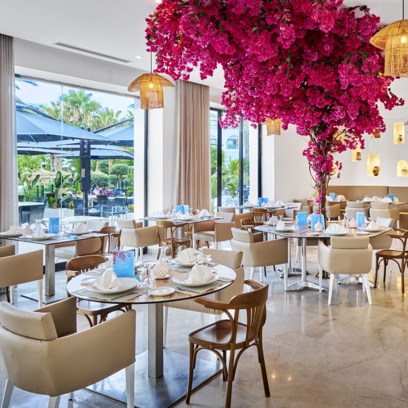 Mondi Club Hôtel Nozha Beach et Spa Resort 4* pas cher photo 36