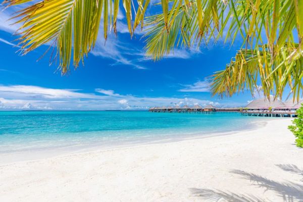 Sun Siyam Vilu Reef 5* pas cher photo 4