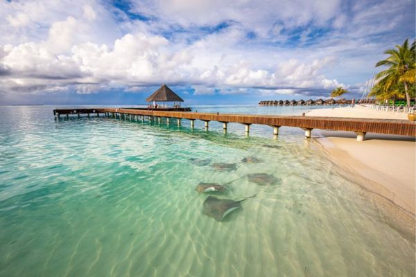 Sun Siyam Vilu Reef 5* pas cher photo 8