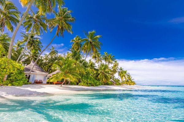 Sun Siyam Vilu Reef 5* pas cher photo 9