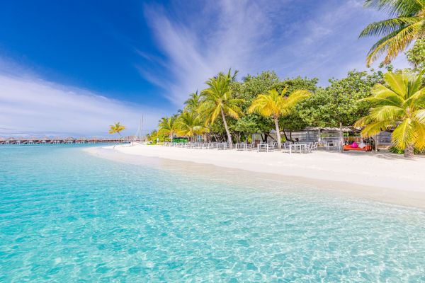 Sun Siyam Vilu Reef 5* pas cher photo 10