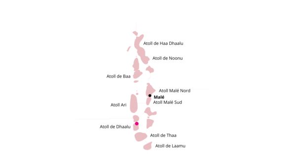 Sun Siyam Vilu Reef 5* pas cher photo 27