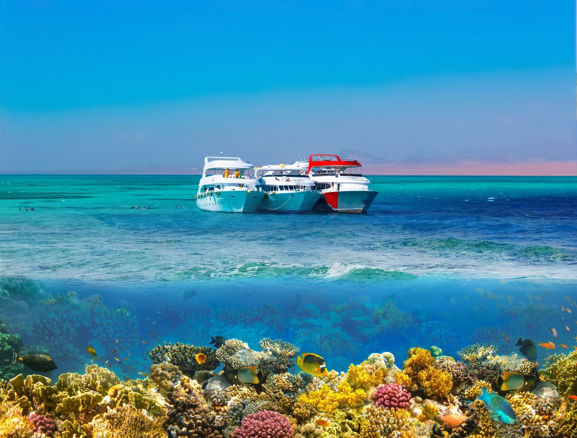 CONTRASTES DU NIL ET DE LA MER ROUGE 5* - Sortie Hurghada - 15J/14N - 24/25 pas cher photo 8