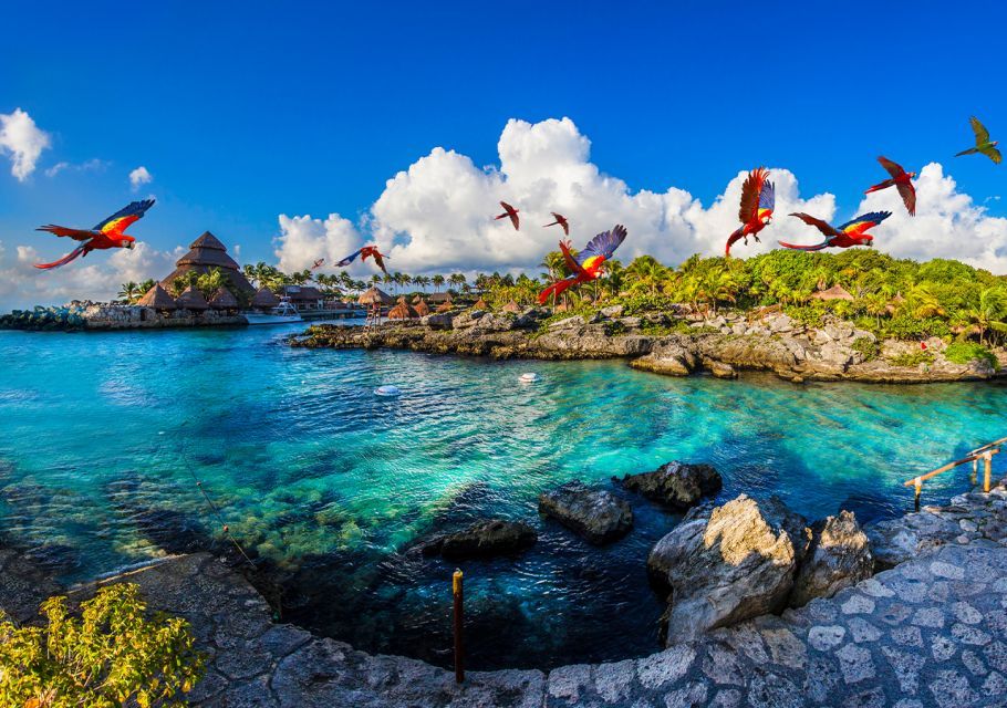 Hôtel Occidental at Xcaret Destination 5* pas cher photo 11